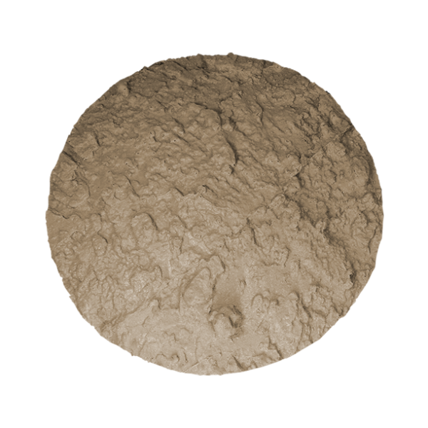 SpidaStamp: California Kit - Image 2