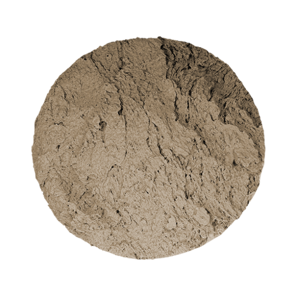 SpidaStamp: Florida Kit - Image 2
